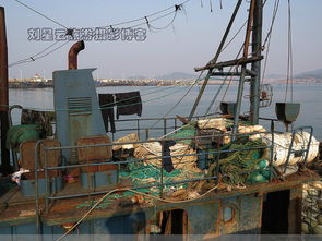 油貴魚少虧本，威海漁港大船不出海實拍背后 畜牧漁業飼料銷售困境與出路探析