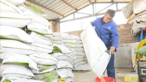 阿巴嘎旗洪格爾畜牧業(yè)合作社 多元化經營助力現代畜牧業(yè)發(fā)展