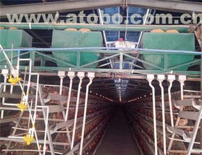 滎陽市高村大張強勝機器廠 畜牧養(yǎng)殖業(yè)設備熱賣促銷及供應商解析