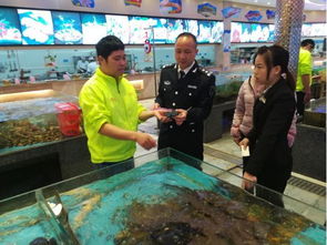 高明區農林漁業局畜牧漁業飼料銷售工作滿意度調查報告