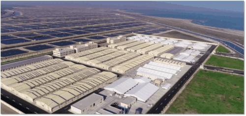 恒興 中國水產民族品牌的崛起之路